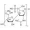 CHONDROITIN SULFATE A SODIUM SALT FROM &